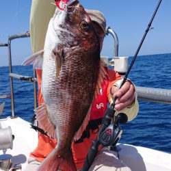 ARCADIAⅡ (アルカディアⅡ) 釣果