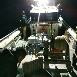 LUSTER『ラスター』 釣果