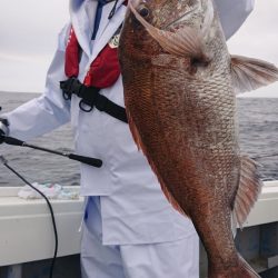だて丸 釣果
