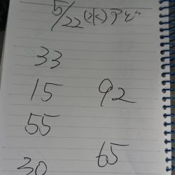 金沢八景鴨下丸 釣果