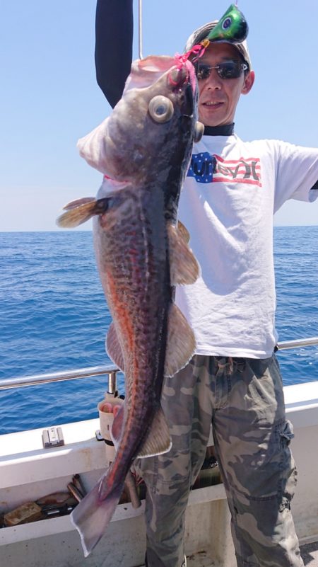 ARCADIAⅡ (アルカディアⅡ) 釣果