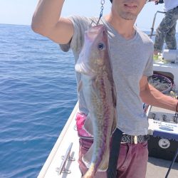 ARCADIAⅡ (アルカディアⅡ) 釣果