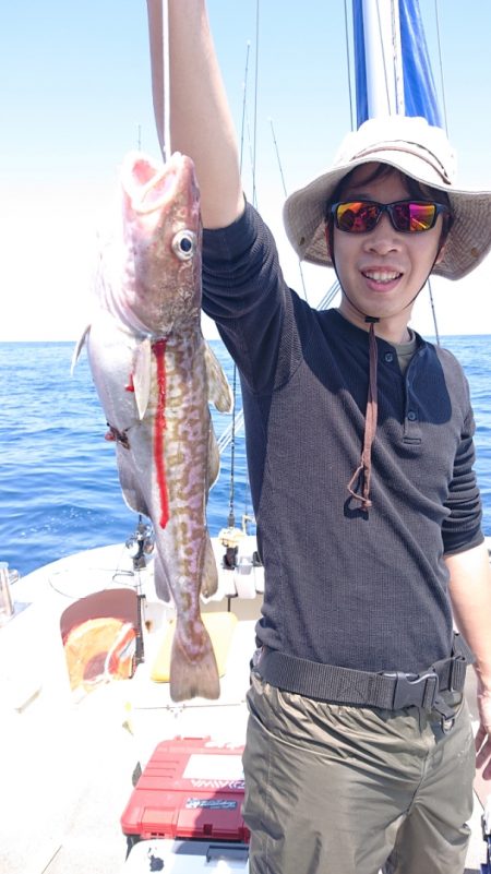 ARCADIAⅡ (アルカディアⅡ) 釣果