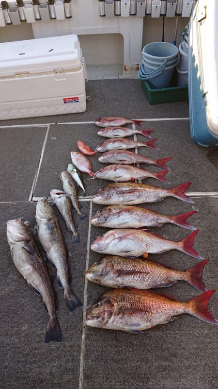 ARCADIAⅡ (アルカディアⅡ) 釣果