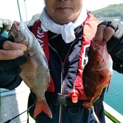 小島丸 釣果