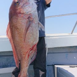 だて丸 釣果