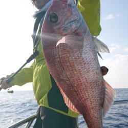 だて丸 釣果