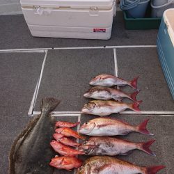 ARCADIAⅡ (アルカディアⅡ) 釣果