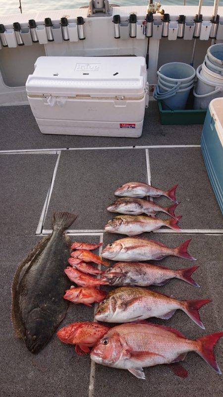 ARCADIAⅡ (アルカディアⅡ) 釣果