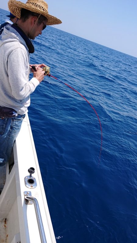 ARCADIAⅡ (アルカディアⅡ) 釣果