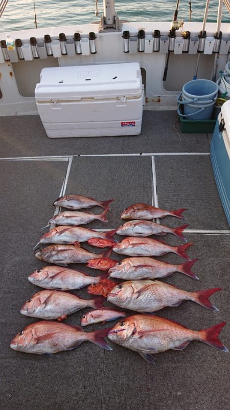 ARCADIAⅡ (アルカディアⅡ) 釣果