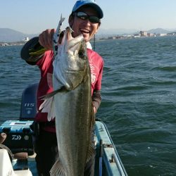 アマテラス 釣果