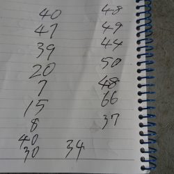 金沢八景鴨下丸 釣果