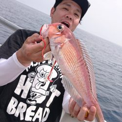 ARCADIAⅡ (アルカディアⅡ) 釣果