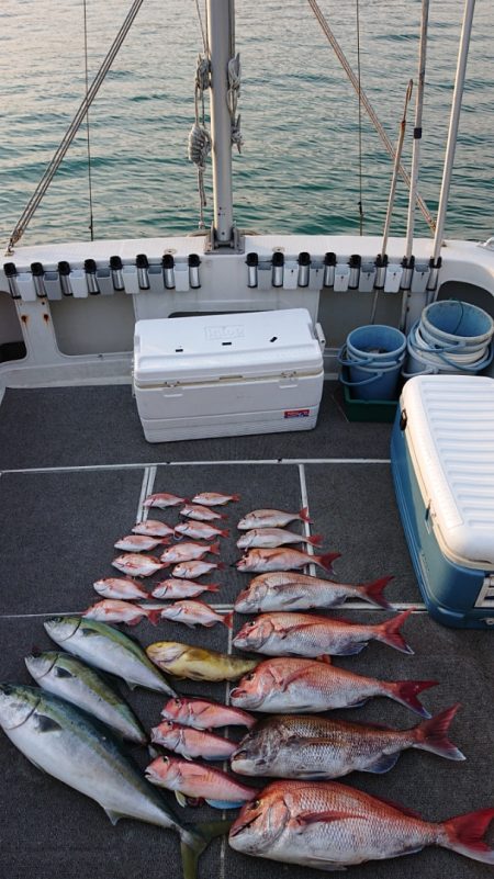 ARCADIAⅡ (アルカディアⅡ) 釣果