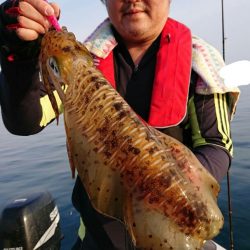 きずなまりん 釣果