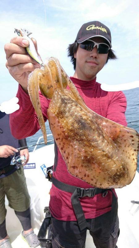 きずなまりん 釣果