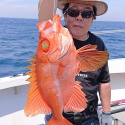 ARCADIAⅡ (アルカディアⅡ) 釣果