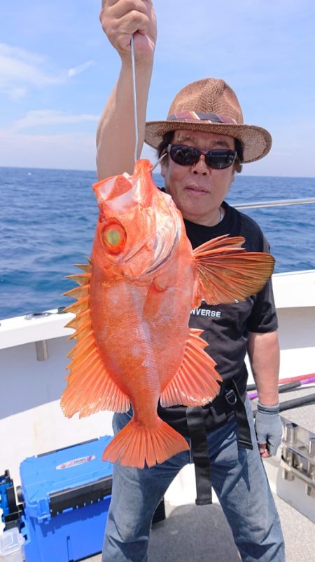 ARCADIAⅡ (アルカディアⅡ) 釣果