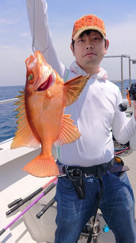 ARCADIAⅡ (アルカディアⅡ) 釣果