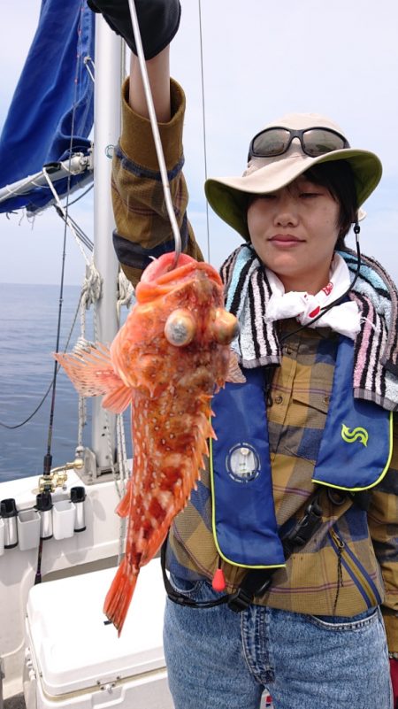 ARCADIAⅡ (アルカディアⅡ) 釣果