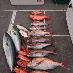 ARCADIAⅡ (アルカディアⅡ) 釣果