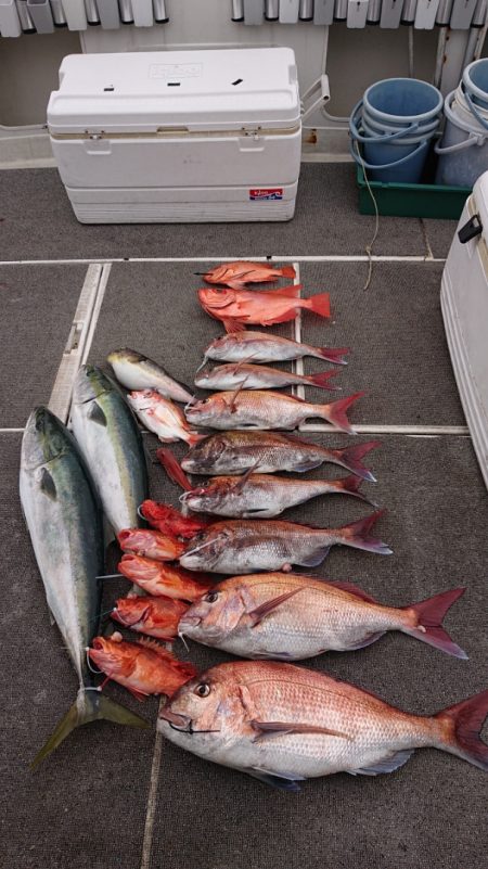 ARCADIAⅡ (アルカディアⅡ) 釣果