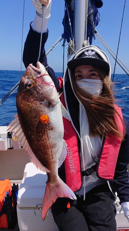 ARCADIAⅡ (アルカディアⅡ) 釣果