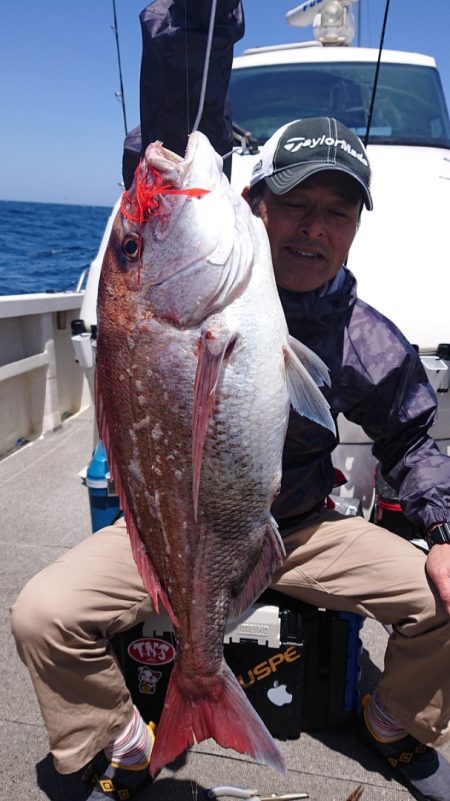 ARCADIAⅡ (アルカディアⅡ) 釣果