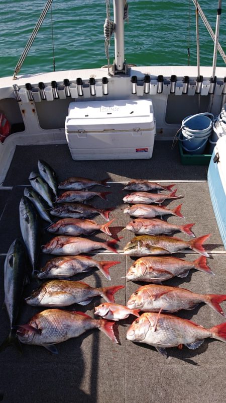 ARCADIAⅡ (アルカディアⅡ) 釣果