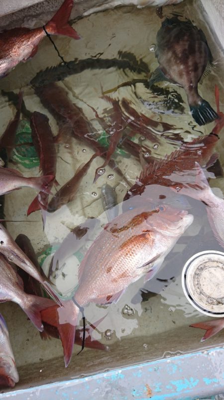 シースナイパー海龍 釣果