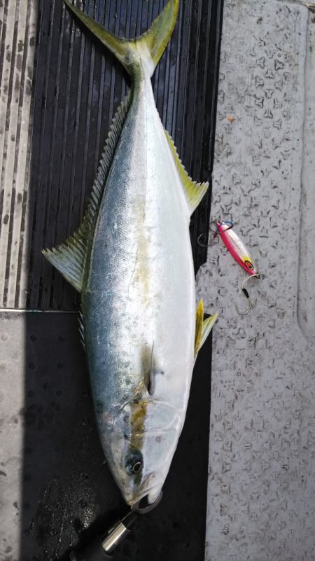 第二龍勢丸 釣果