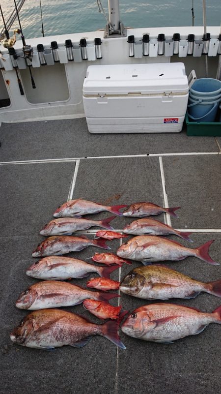 ARCADIAⅡ (アルカディアⅡ) 釣果