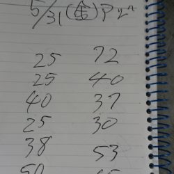 金沢八景鴨下丸 釣果