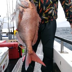 LUSTER『ラスター』 釣果