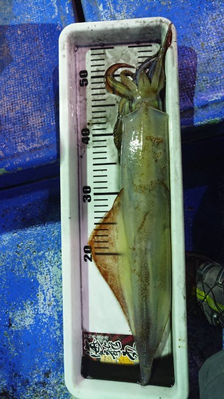 海龍丸（石川） 釣果