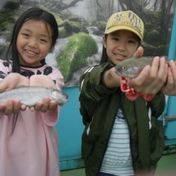 としまえんフィッシングエリア 釣果