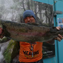 としまえんフィッシングエリア 釣果