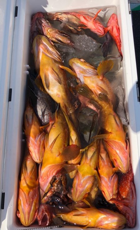 あみや渡船 JIGBOY 釣果