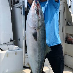 あみや渡船 JIGBOY 釣果