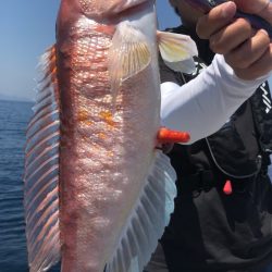 あみや渡船 JIGBOY 釣果