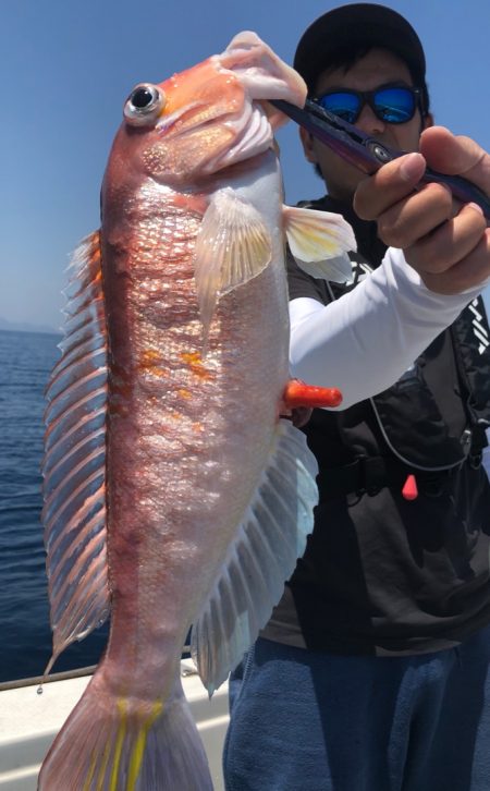 あみや渡船 JIGBOY 釣果