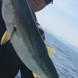 あみや渡船 JIGBOY 釣果