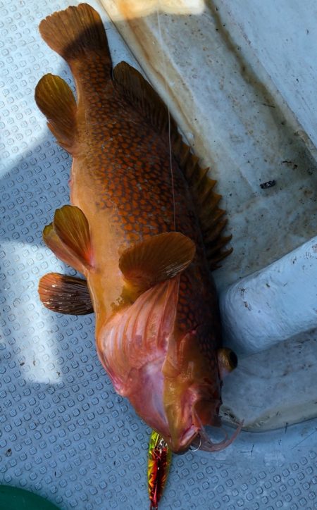 あみや渡船 JIGBOY 釣果