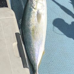 あみや渡船 JIGBOY 釣果