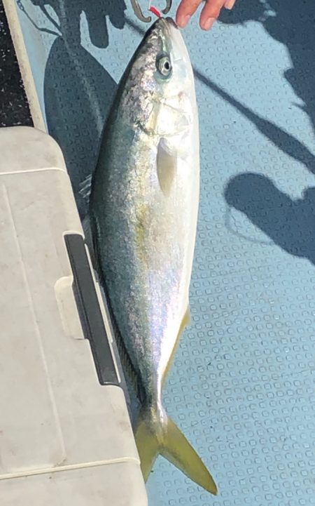 あみや渡船 JIGBOY 釣果