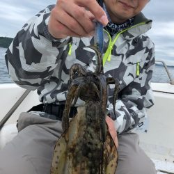 「LaGooN」蒼陽丸 日和号 釣果