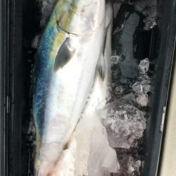 あみや渡船 JIGBOY 釣果