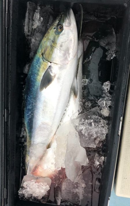 あみや渡船 JIGBOY 釣果