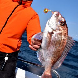 渡船屋たにぐち 釣果